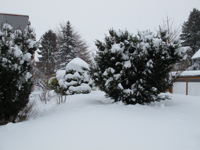 Krallgasse 3 (18. J&auml;n.)