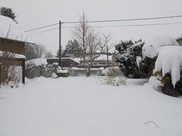 Krallgasse 3 (18. J&auml;n.)