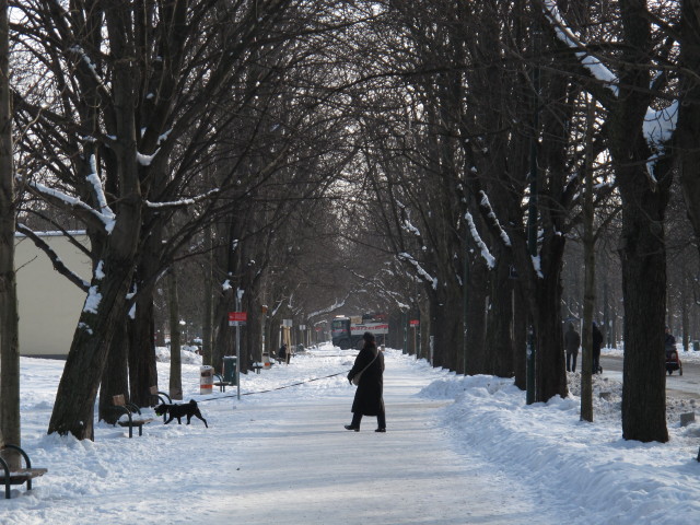 Hauptallee (22. J&auml;n.)