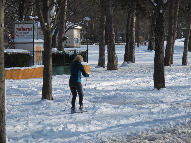 Hauptallee (22. J&auml;n.)