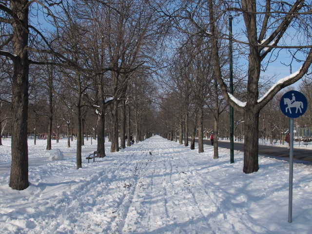 Hauptallee (22. J&auml;n.)