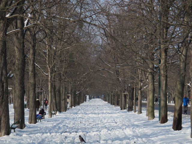 Hauptallee (22. J&auml;n.)