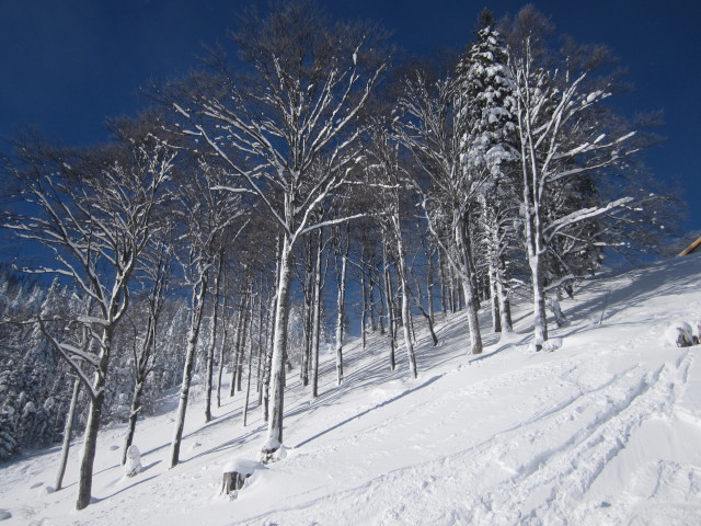 neben der Lahningpiste