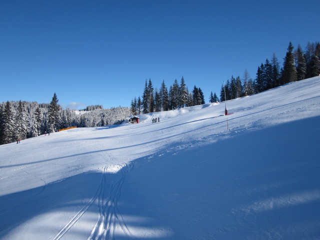 B&auml;rnbissabfahrt