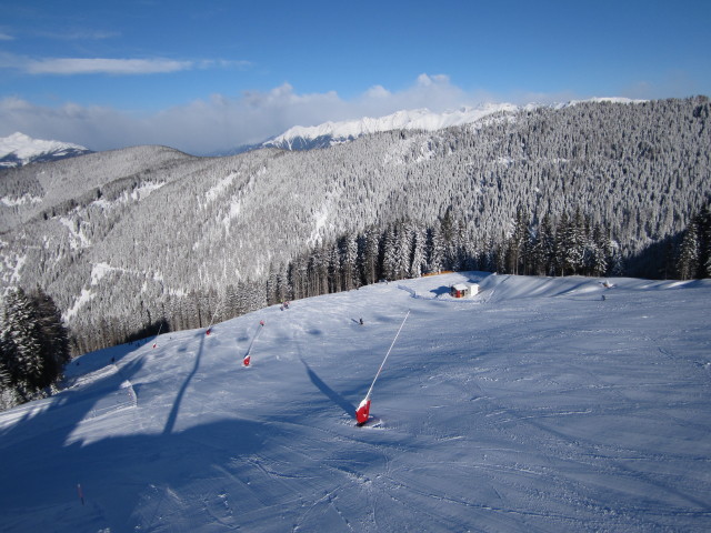 B&auml;rnbissabfahrt