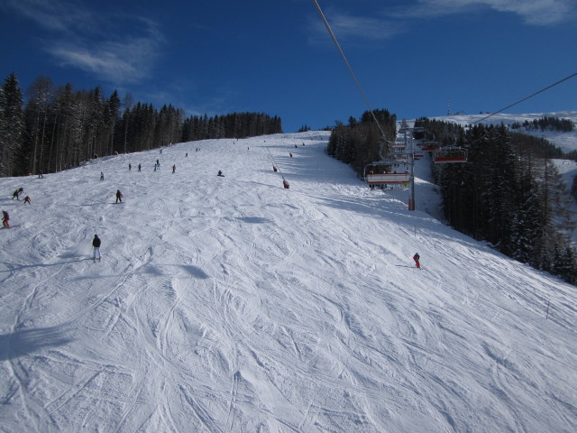 B&auml;rnbissabfahrt von der 6er-SB B&auml;rnbissbahn aus