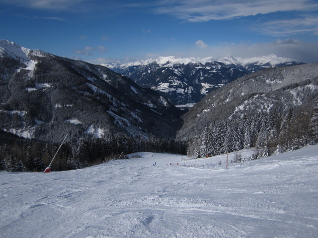 B&auml;rnbissabfahrt 2