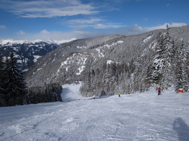 B&auml;rnbissabfahrt 2