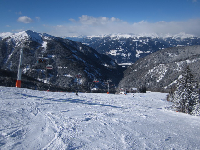 B&auml;rnbissabfahrt