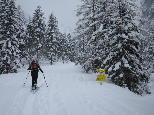 Axel auf der Salzbergstra&szlig;e zwischen Ferdinandbr&uuml;cke und Ochsenbr&uuml;cke