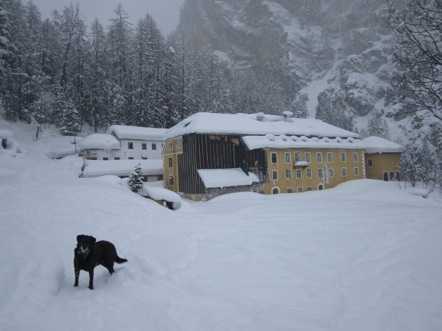 Herrenh&auml;user, 1.500 m