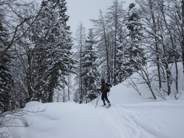 Axel zwischen Herrenh&auml;user und Ochsenbr&uuml;cke