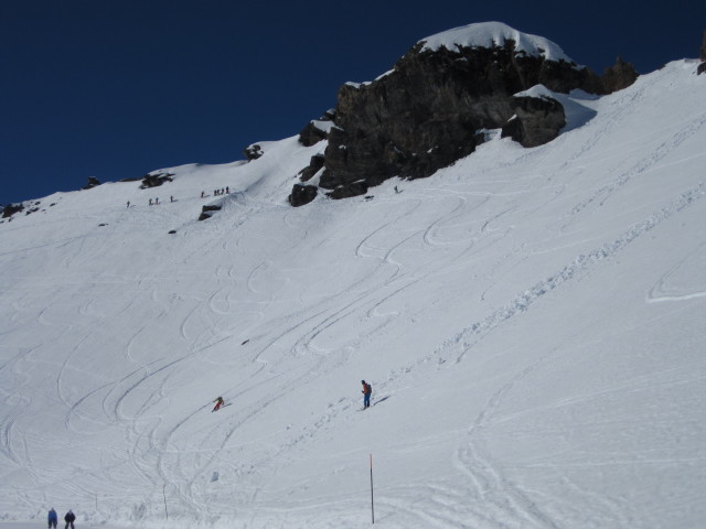 neben der Schilthornpiste (4. März)
