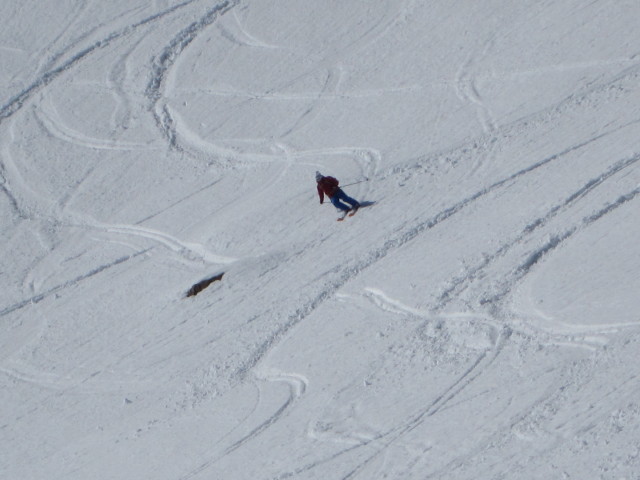neben der Schilthornpiste (4. M&auml;rz)