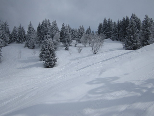 neben dem T&eacute;l&eacute;ski La Cha