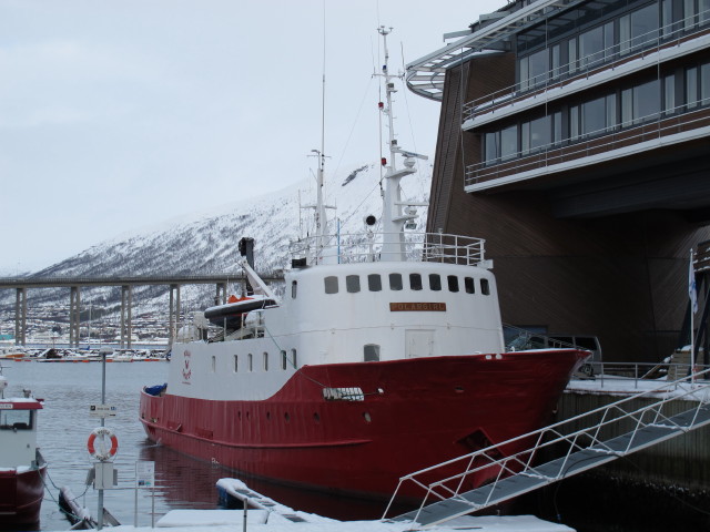 Polargirl im Troms&oslash; Havn (23. M&auml;rz)