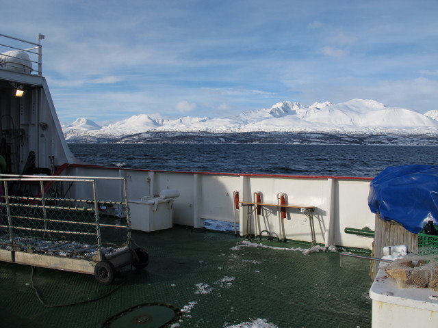 Polargirl im Lyngsfjord (26. M&auml;rz)
