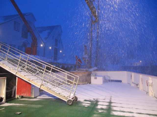 Polargirl in Havnnes (27. M&auml;rz)