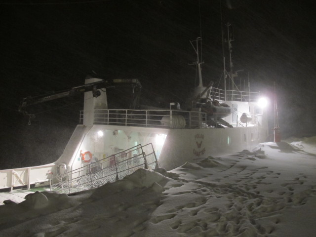 Polargirl in Havnnes (27. M&auml;rz)