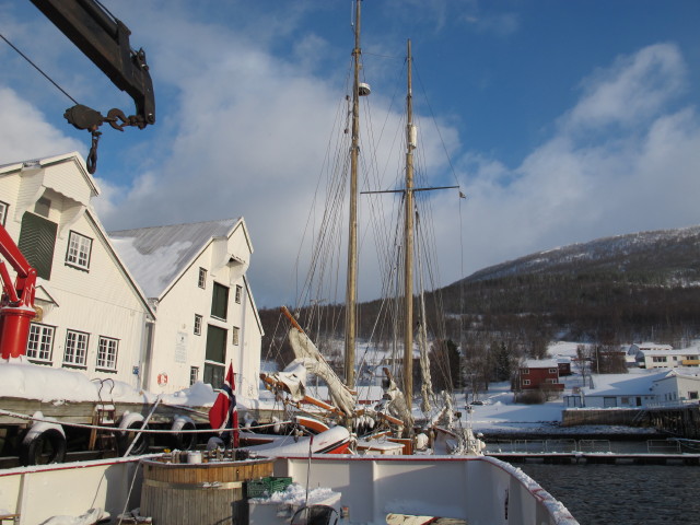 Polargirl in Havnnes (28. M&auml;rz)