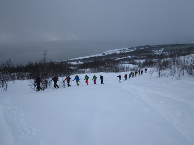 zwischen Djupvik Kirkegård und Storhaugen