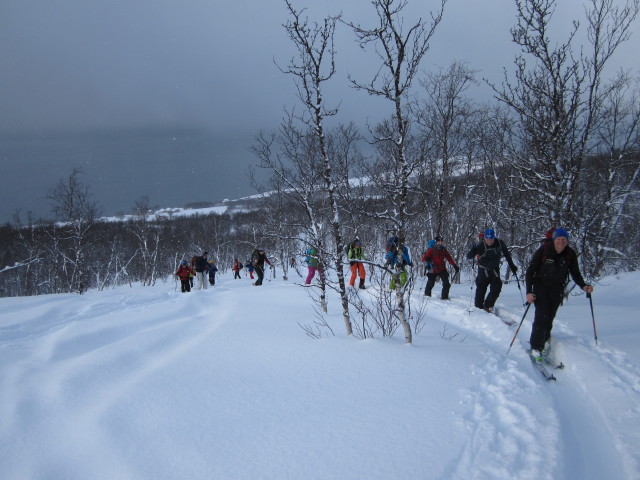 zwischen Djupvik Kirkegård und Storhaugen