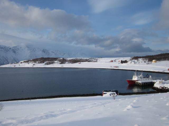 'Polargirl' in Djupvik