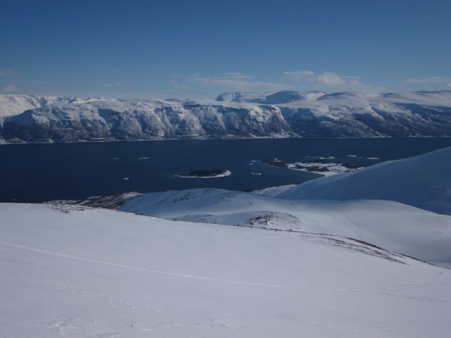 Lyngsfjord