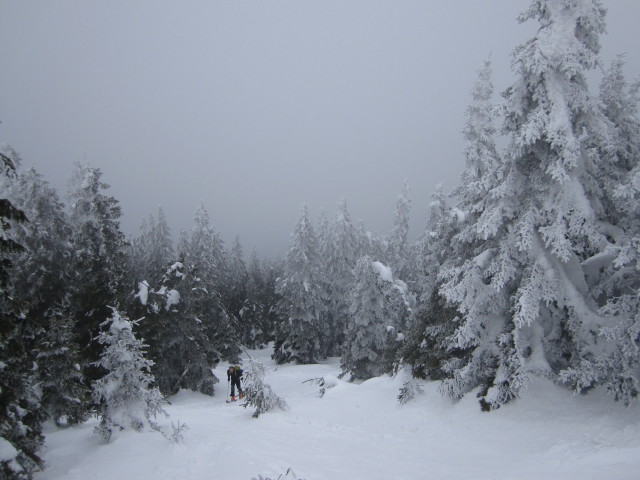 David zwischen Karl-Lechner-Haus und Alois-Günther-Haus