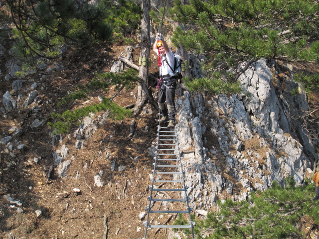 Erich auf der Seilbr&uuml;cke