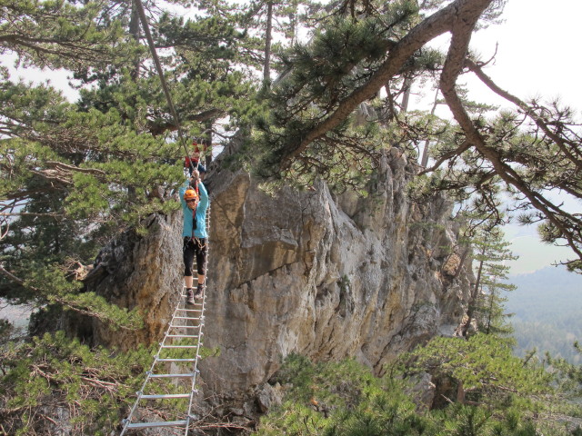 Sabrina auf der Seilbr&uuml;cke
