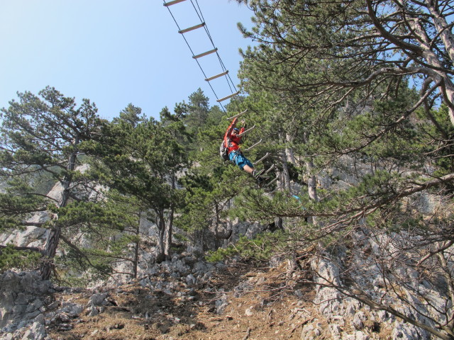 Christian auf der Seilbr&uuml;cke