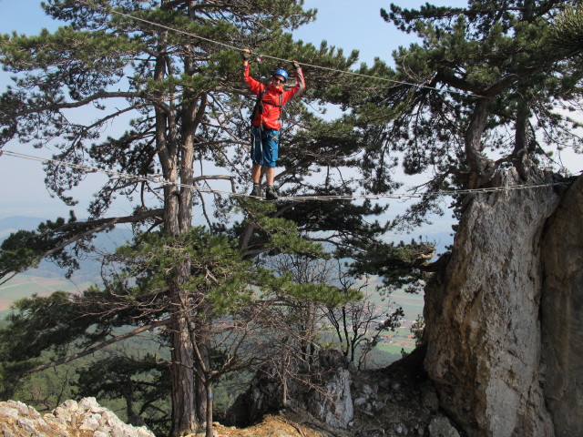 Christian auf der Seilbr&uuml;cke