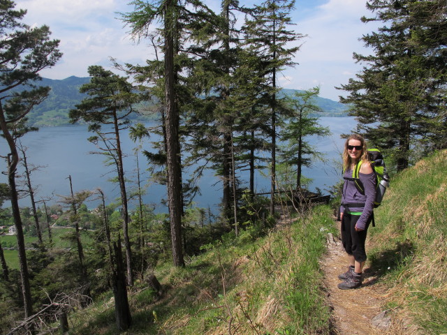 Sabrina zwischen Schoberstein und Waldlehrpfad 'Nikoloweg'