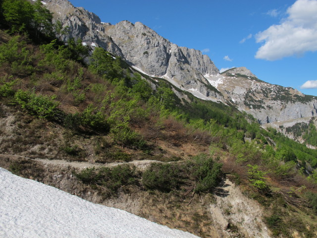 zwischen Hasenwilzingh&uuml;tte und Weg 828 (18. Mai)