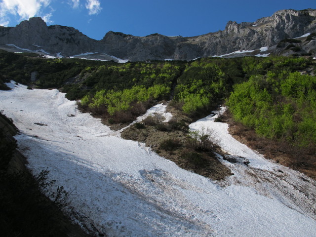 zwischen Hasenwilzingh&uuml;tte und Weg 828 (18. Mai)