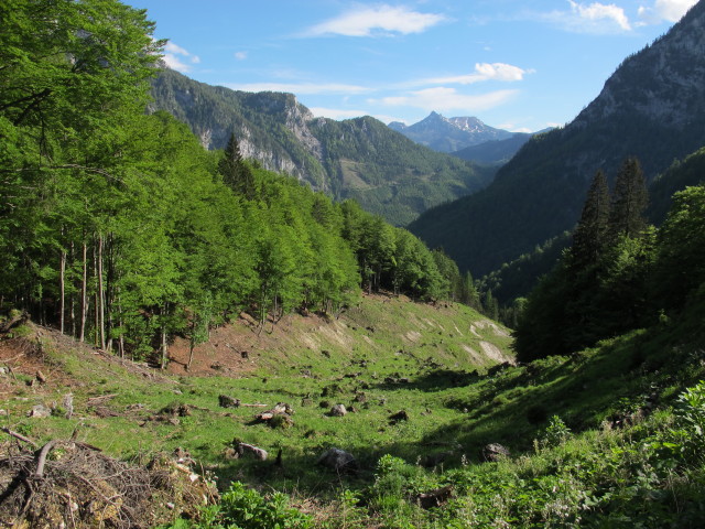 zwischen Hasenwilzingh&uuml;tte und Weg 828 (18. Mai)