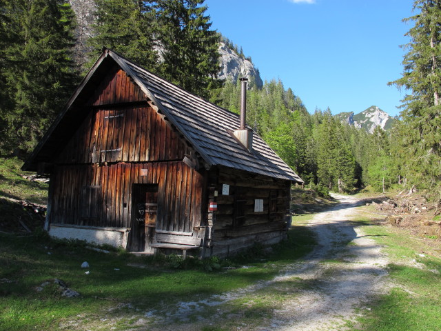 Rohrh&uuml;tte (18. Mai)