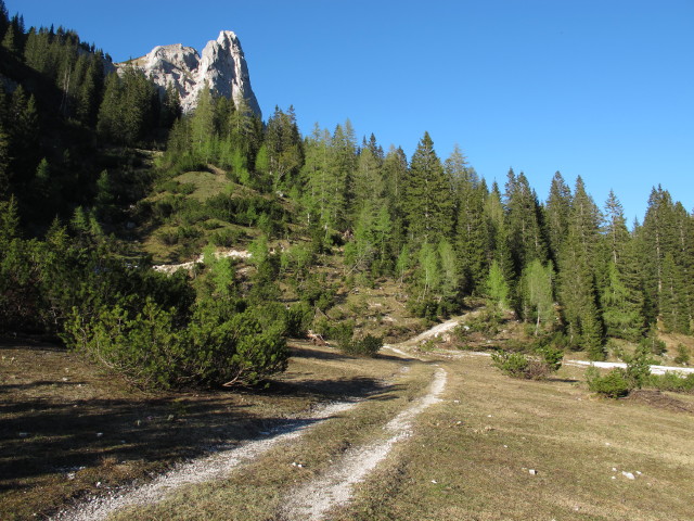 Weg 801 im Fobistal (18. Mai)