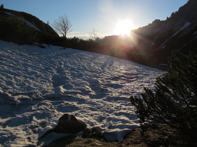 Weg 801 zwischen Brandwiese und Androthtörl  (18. Mai)