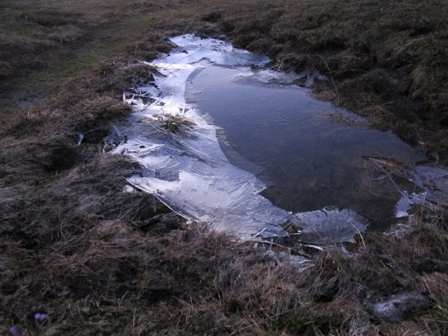 Weg 829 zwischen Sonnschienh&uuml;tte und Sonnschienbr&uuml;ndl (19. Mai)