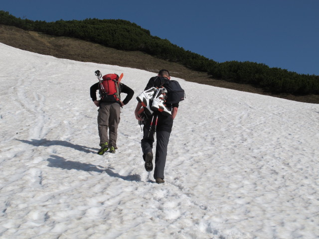 Weg 831 zwischen Zumach und Sonnschienbr&uuml;ndl (19. Mai)