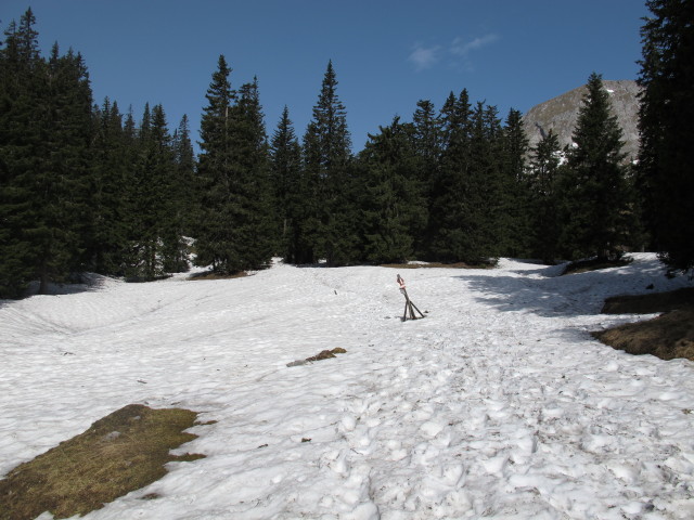 Weg 801/805 zwischen Sonnschienh&uuml;tte und Sackwiesensee (19. Mai)