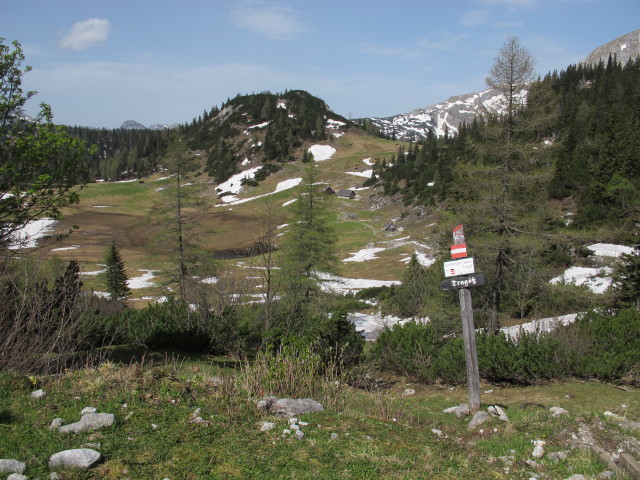 Sackwiesenalm (19. Mai)