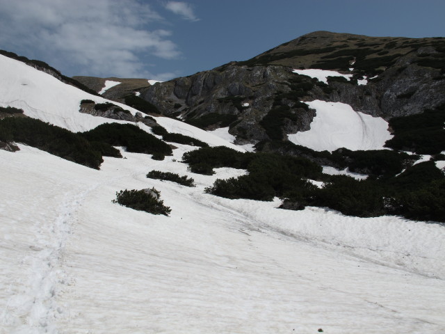 Weg 801/805 zwischen H&auml;useltrog und Hirschgrube (19. Mai)