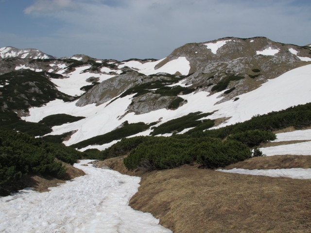 Weg 801/805 zwischen H&auml;useltrog und Hirschgrube (19. Mai)