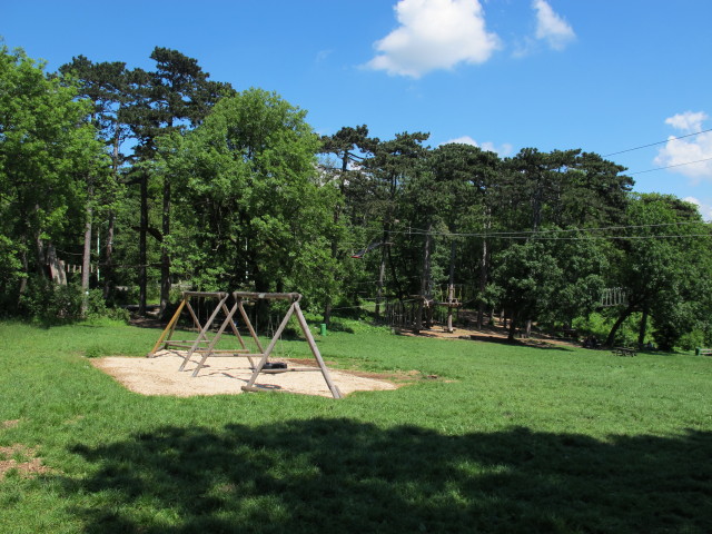 Waldseilpark Kahlenberg