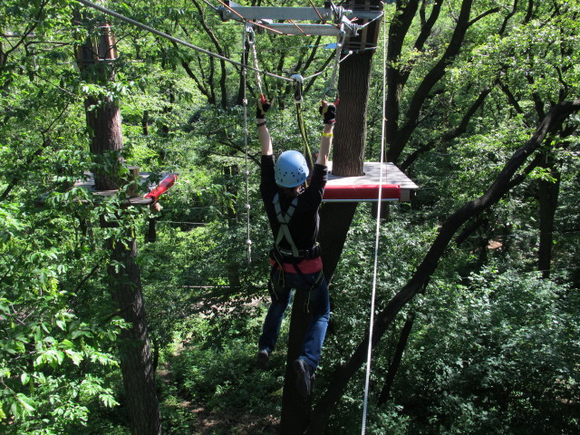 Carmen in den Erwachsenenparcours