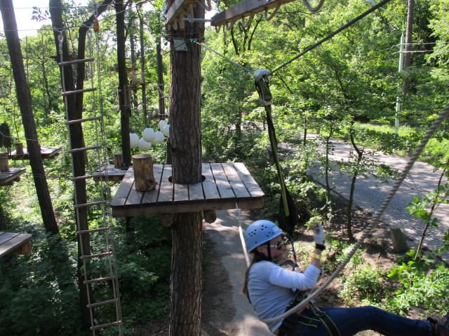 Diana in den Erwachsenenparcours