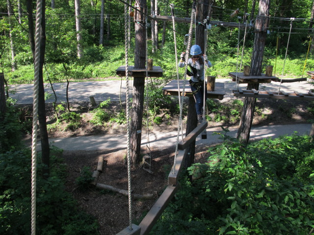 Diana in den Erwachsenenparcours
